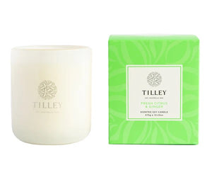 Tilley Candle Fresh Citrus & Ginger