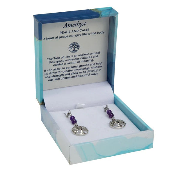 Bramble Bay Duo Earrings - Amethyst Rhodium