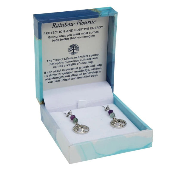 Bramble Bay Duo Earrings - Rainbow Fluorite Rhodium