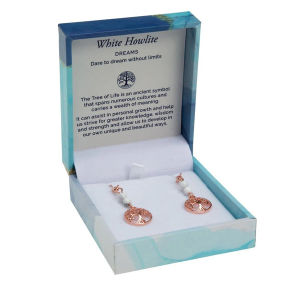 Bramble Bay Duo Earrings - Amazonite Matte Rhodium