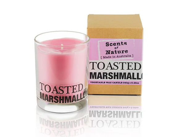 Scents Of Nature Candle Toasted Marshmallow 240g By Tilley